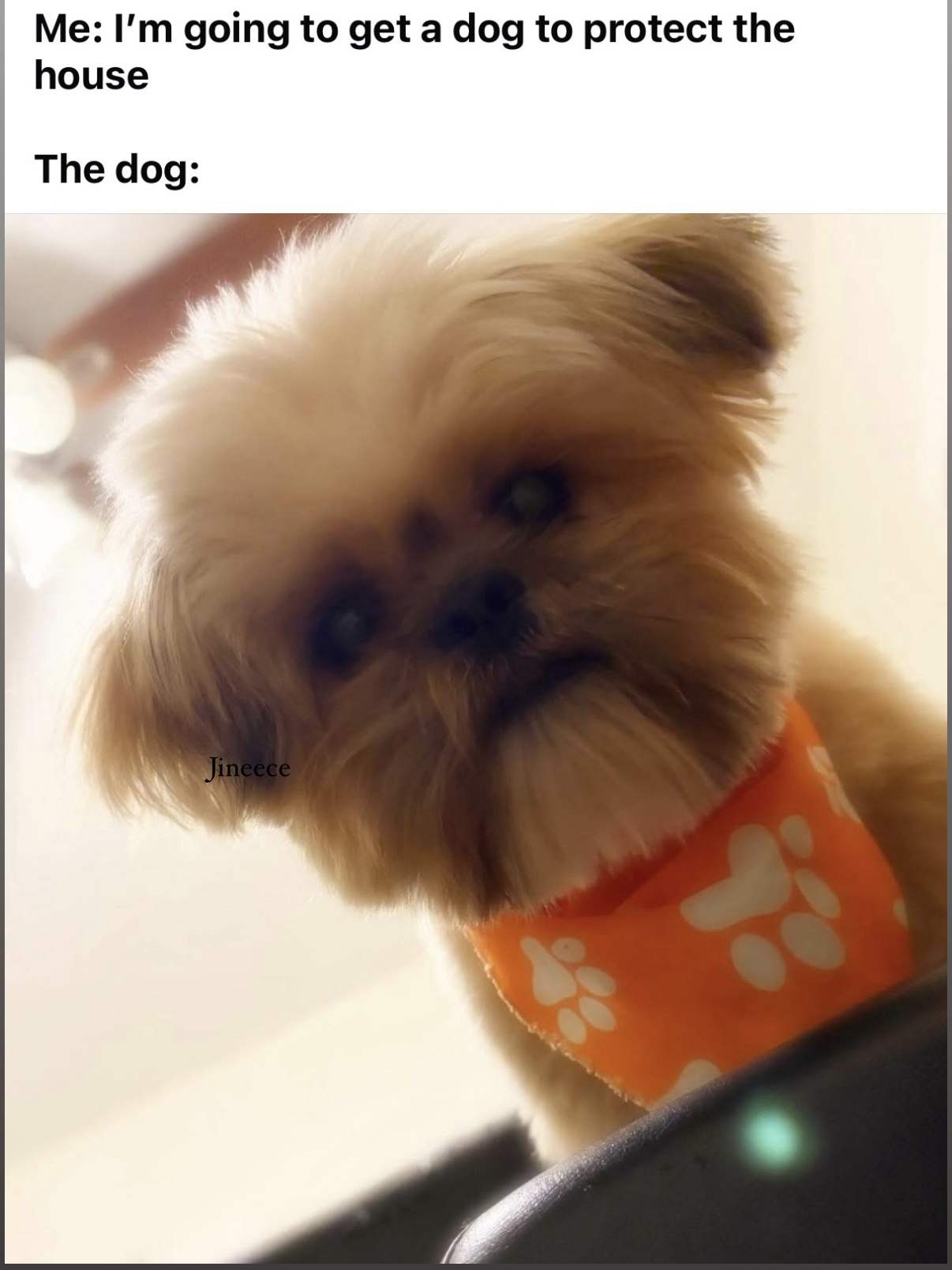 Post photo